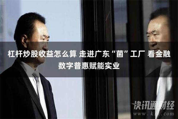 杠杆炒股收益怎么算 走进广东“菌”工厂 看金融数字普惠赋能实业