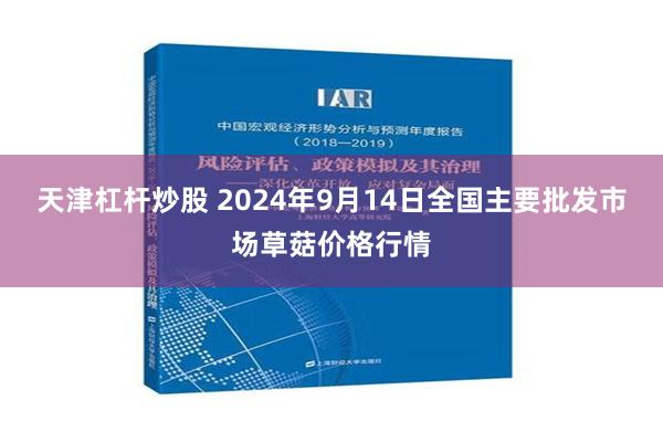 天津杠杆炒股 2024年9月14日全国主要批发市场草菇价格行情