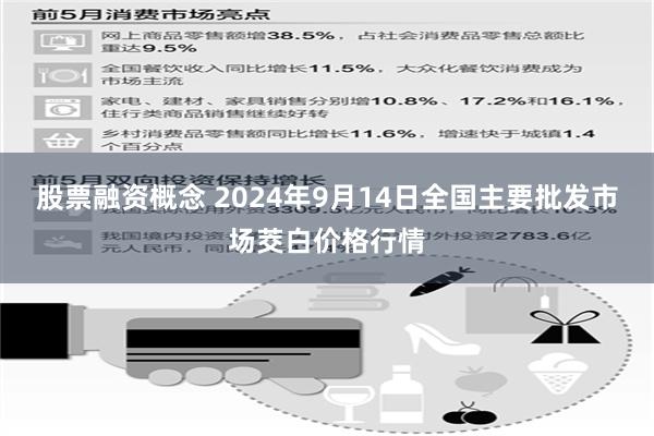 股票融资概念 2024年9月14日全国主要批发市场茭白价格行情