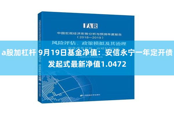 a股加杠杆 9月19日基金净值：安信永宁一年定开债发起式最新净值1.0472