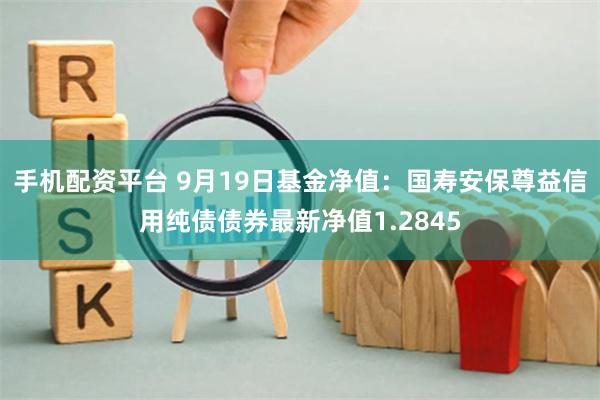 手机配资平台 9月19日基金净值：国寿安保尊益信用纯债债券最新净值1.2845