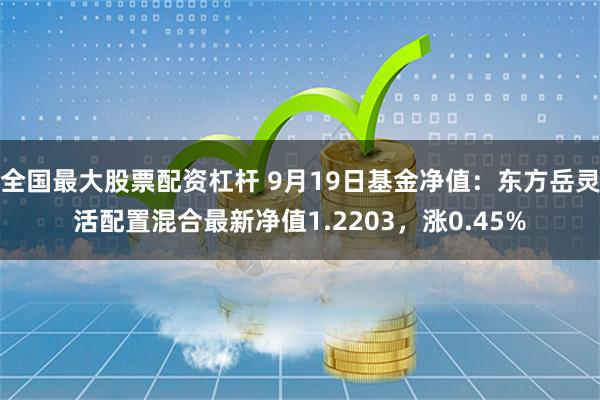 全国最大股票配资杠杆 9月19日基金净值：东方岳灵活配置混合最新净值1.2203，涨0.45%