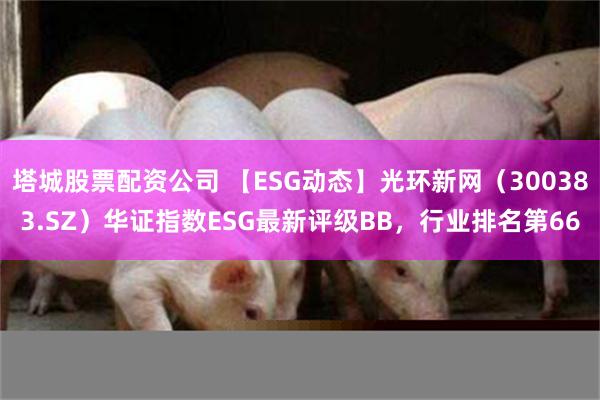 塔城股票配资公司 【ESG动态】光环新网（300383.SZ）华证指数ESG最新评级BB，行业排名第66