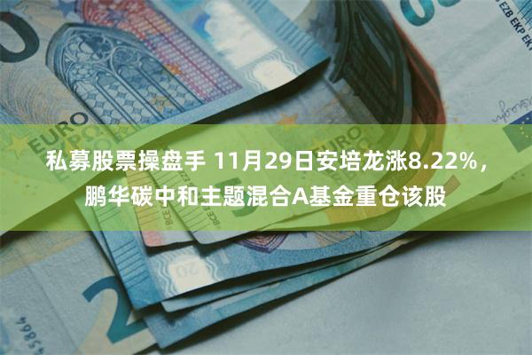 私募股票操盘手 11月29日安培龙涨8.22%，鹏华碳中和主题混合A基金重仓该股