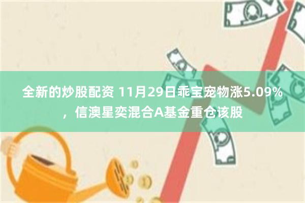 全新的炒股配资 11月29日乖宝宠物涨5.09%，信澳星奕混合A基金重仓该股