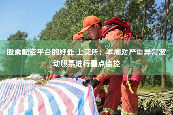 股票配资平台的好处 上交所：本周对严重异常波动股票进行重点监控