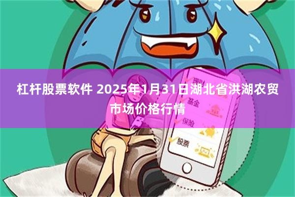 杠杆股票软件 2025年1月31日湖北省洪湖农贸市场价格行情